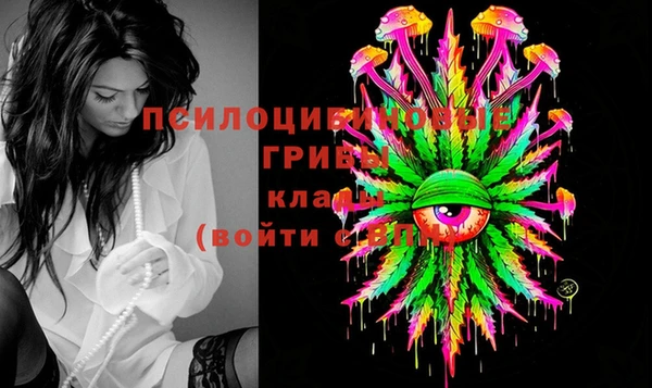 винт Гусь-Хрустальный
