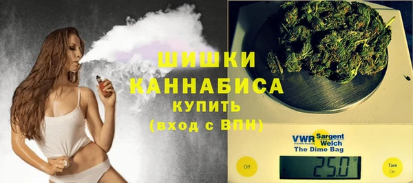винт Гусь-Хрустальный