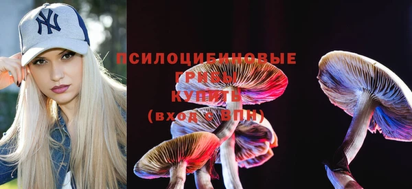 a pvp Гусиноозёрск